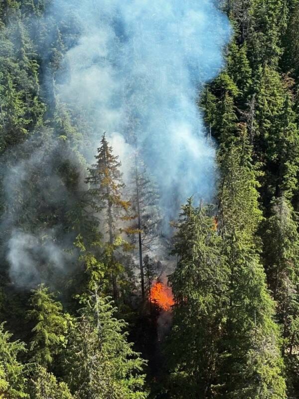 33294321_web1_230712-BPD-wildfire-north-van_1