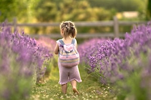 DISCOVER LANGLEY: Flower farm a hidden gem