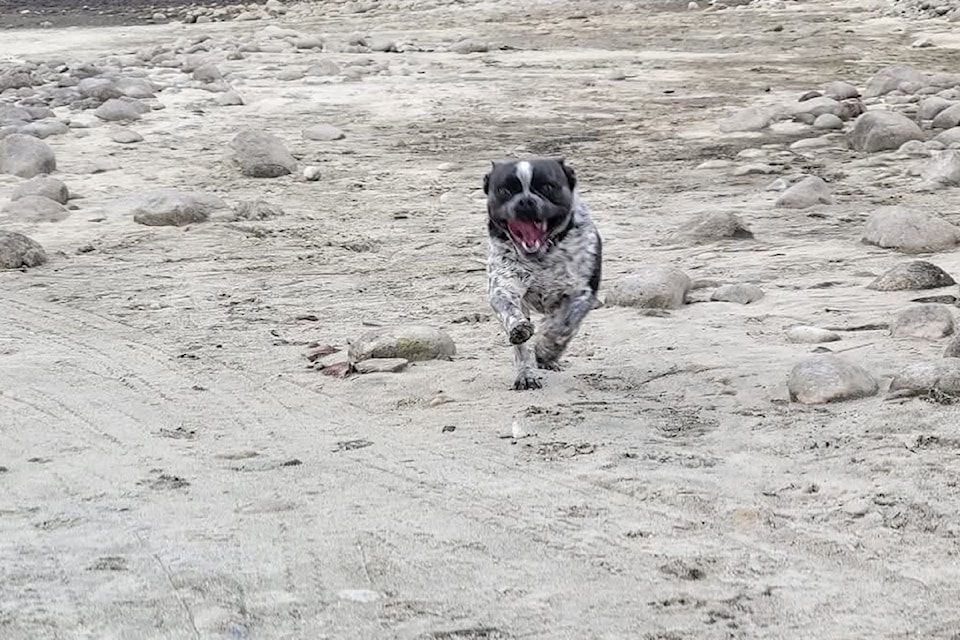 A happy bean at the beach.