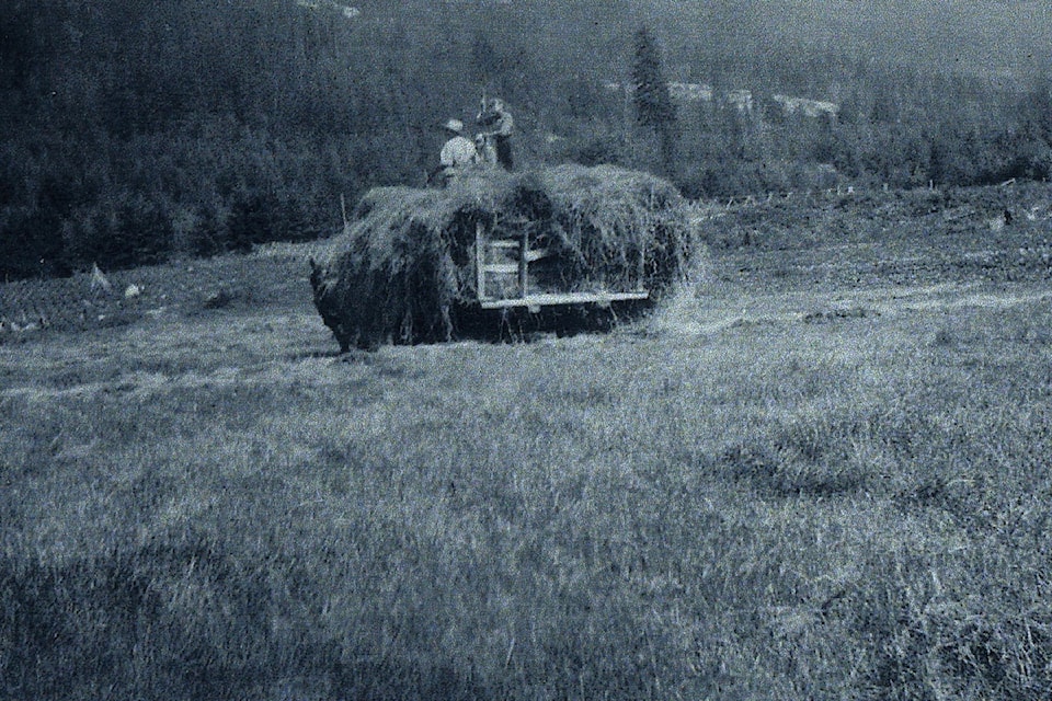 2005-013-7-george-walton-haying40