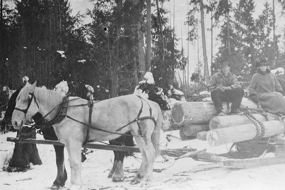 2014-003-2720-sleigh-burton