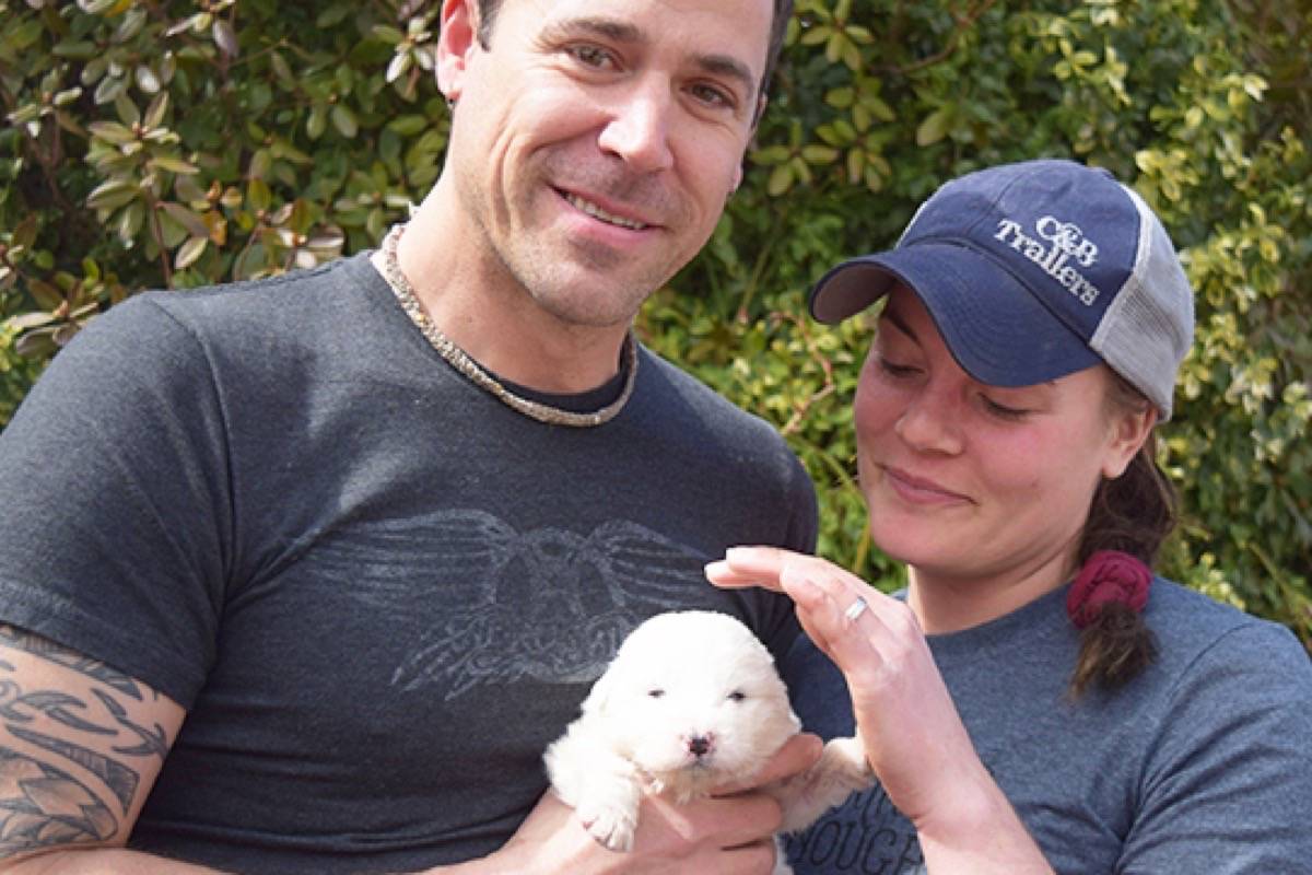 Puppy fighting back with support of community