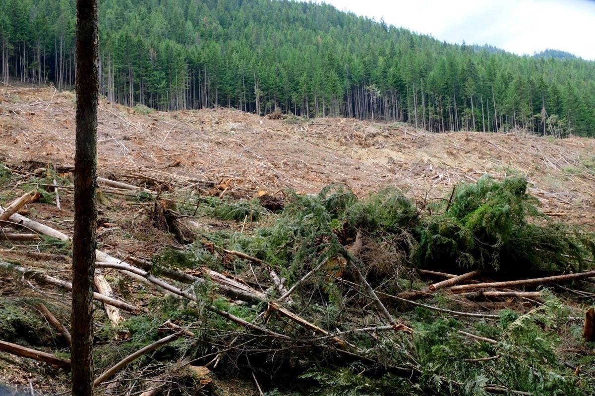 17437020_web1_190625-KWS-M-May-