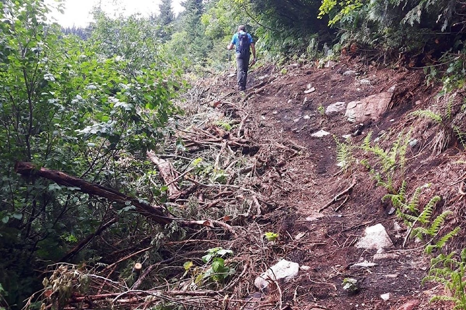 A new cleared section of the trail. Photo: North Slocan Trail Society Facebook photo