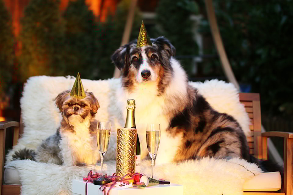 new-years-eve-pxhere