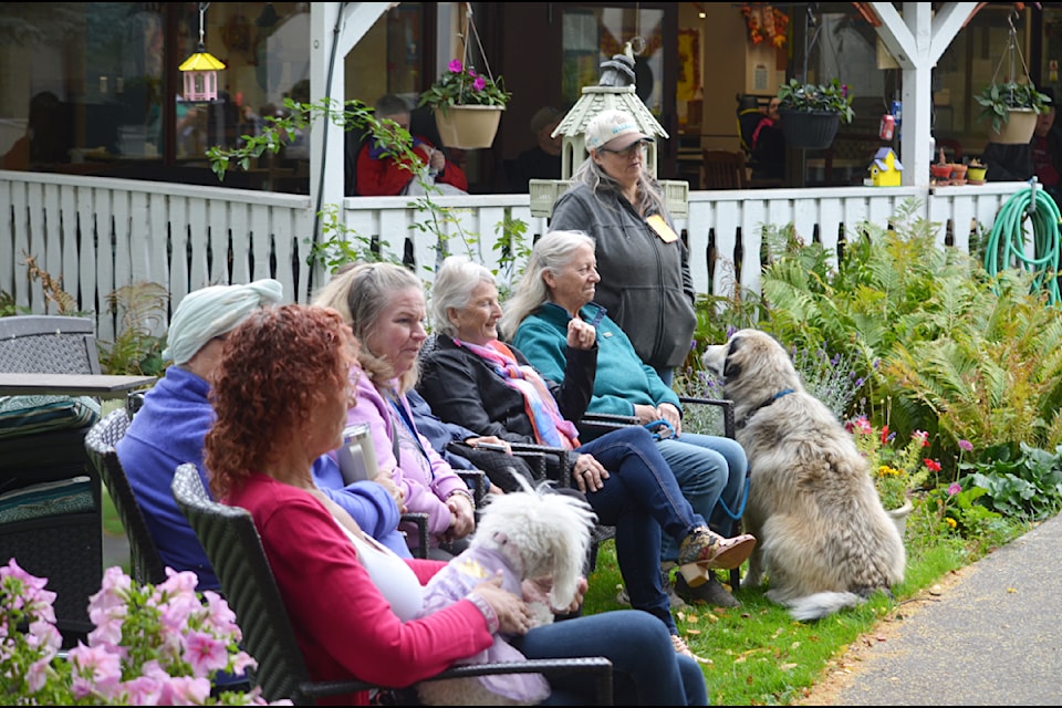 Spectators enjoying the dog show at Jackson House in Ashcroft on Sept. 26.