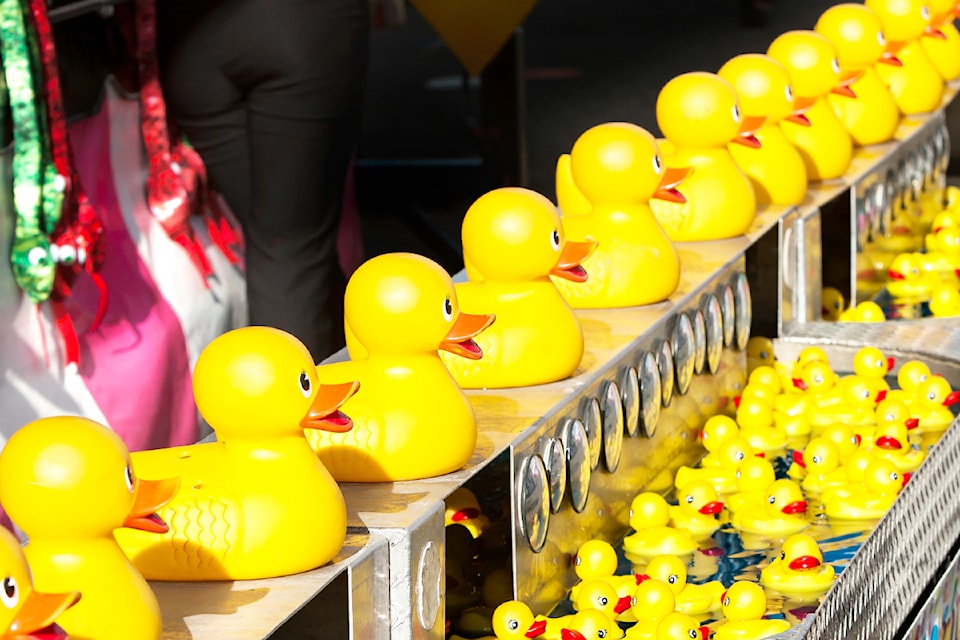 ducks-pxhere