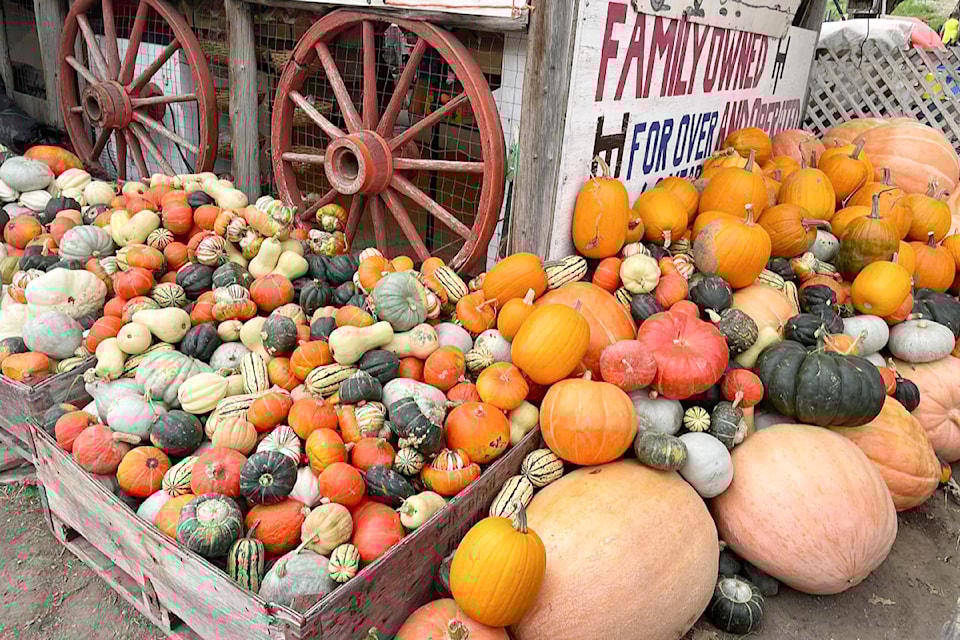 fall-vegetables