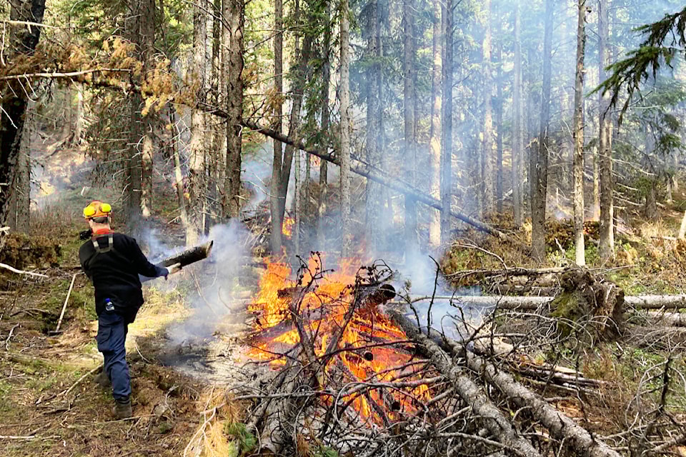 pile-burning-apex-october-2023
