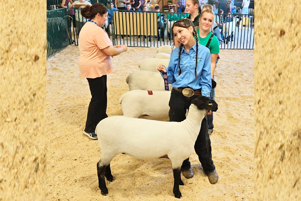 Winner in the 4-H Ewe Lamb Class on Aug. 31 was Avery Testawich, seen here smiling after she received her blue ribbon at the North Thompson Fall Fair and Rodeo in Barriere. 