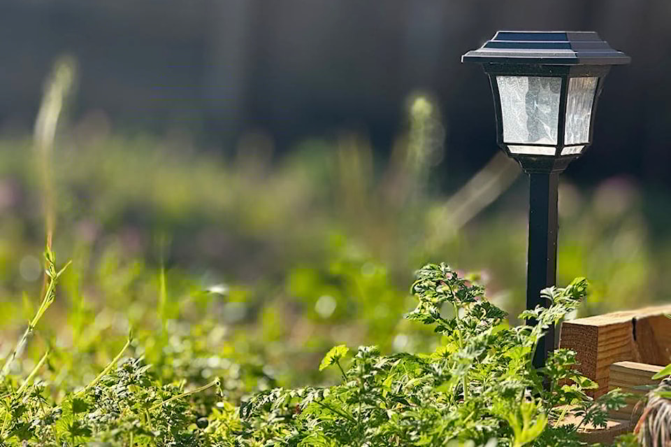 outdoor-lighting-amy-k-pexels