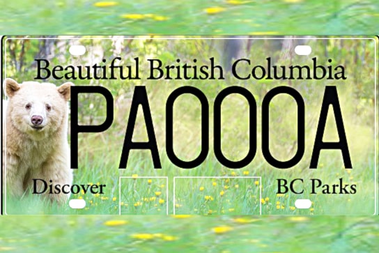kermode-bear-plate
