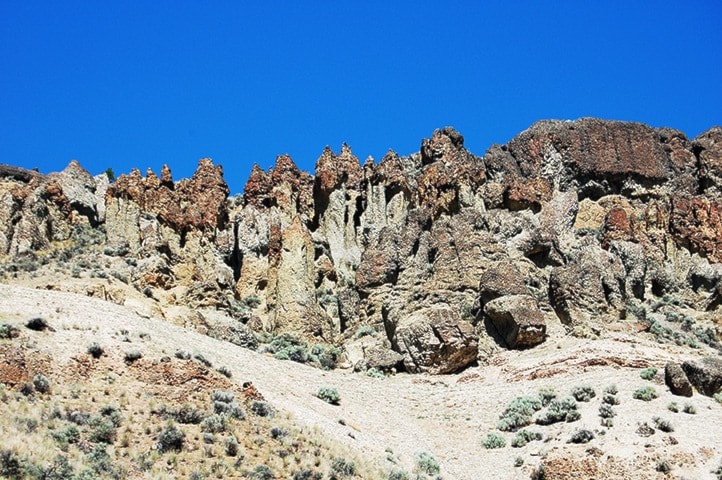 40251ashcroftMcAbeefossilbeds