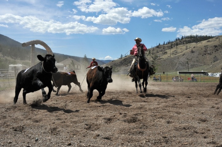 73804ashcroftNewsrodeo12July17