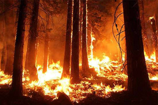12434398_web1_180614-NAL-wildfire-stock-pic