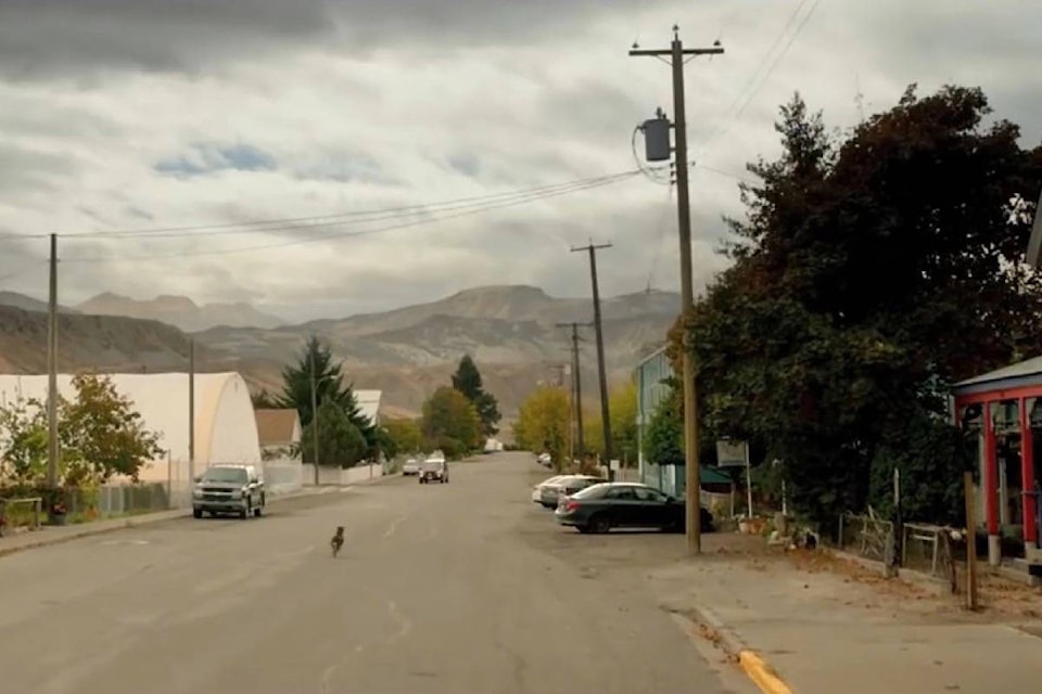 15119385_web1_190114-ACC-M-Dog-s-Way-Home