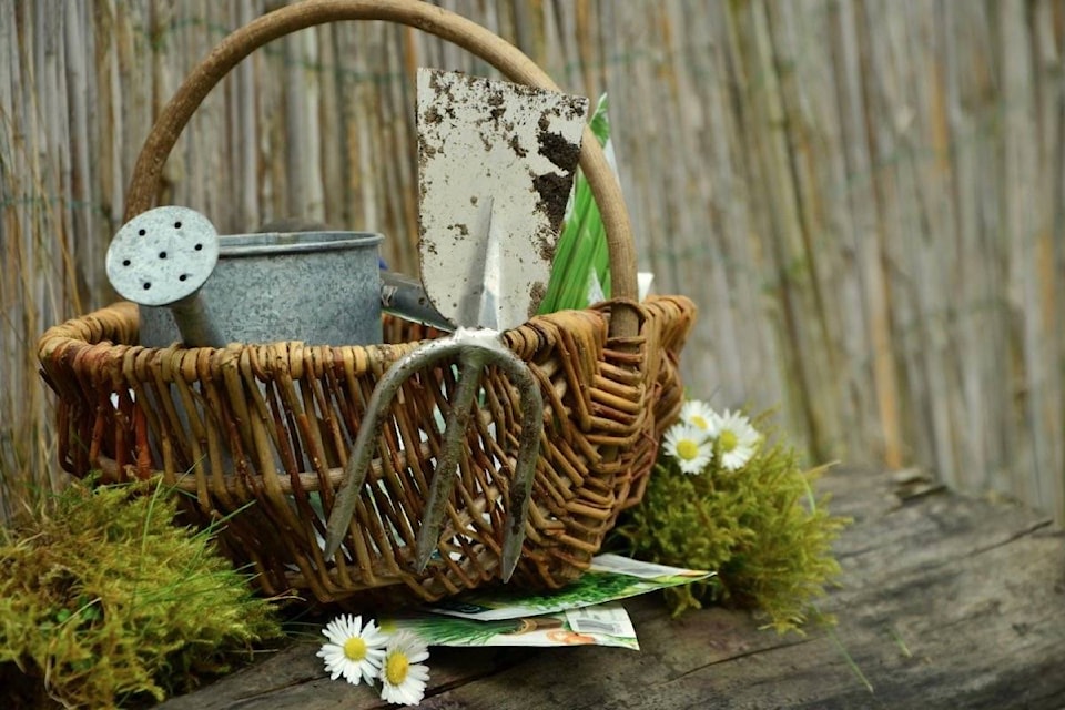 15302295_web1_190130-ACC-M-Gardening-tools
