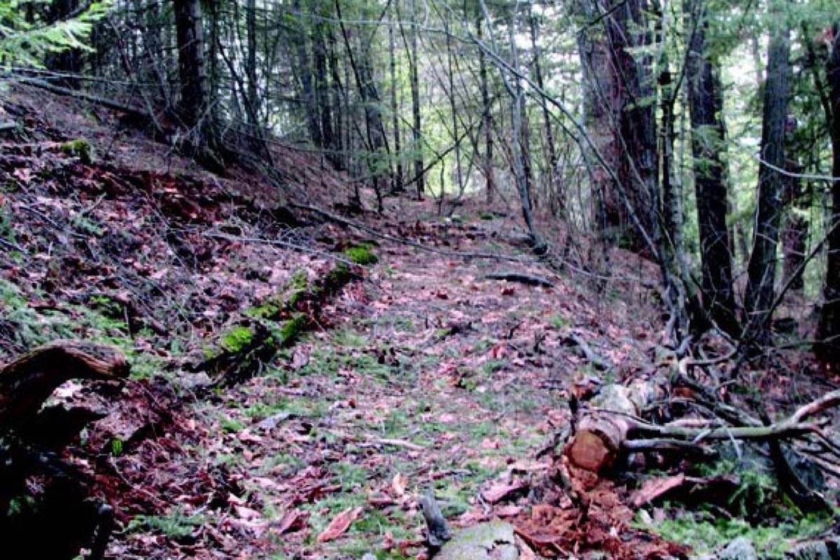 16822155_web1_190514-ACC-M-Cariboo-Waggon-Road-Restoration-Project-road-section