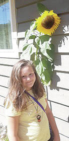 23034077_web1_201022-ACC-Clinton-CIB-Sunflowers_5