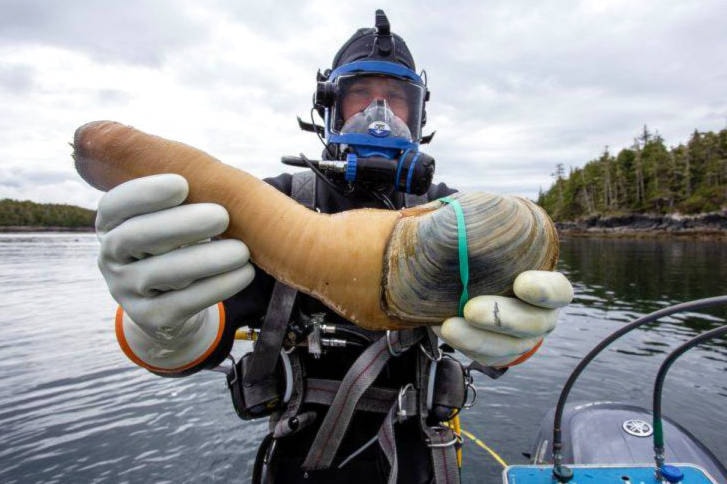 23374732_web1_copy_201126-PRU-Exotic-BC-Seafood-geoduck_1