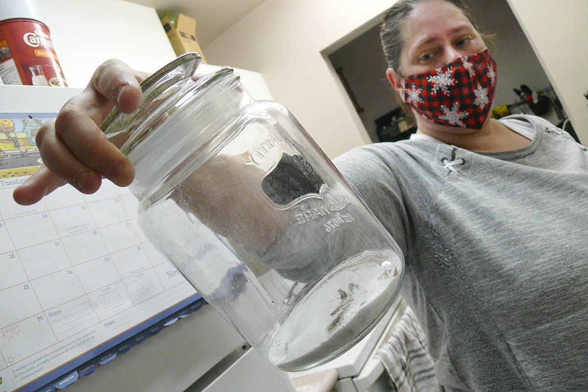 Danielle Arbour shows some of the cockroaches she has trapped in her suite at the Centennial Manor in Langley City. (Dan Ferguson/Langley Advance Times)