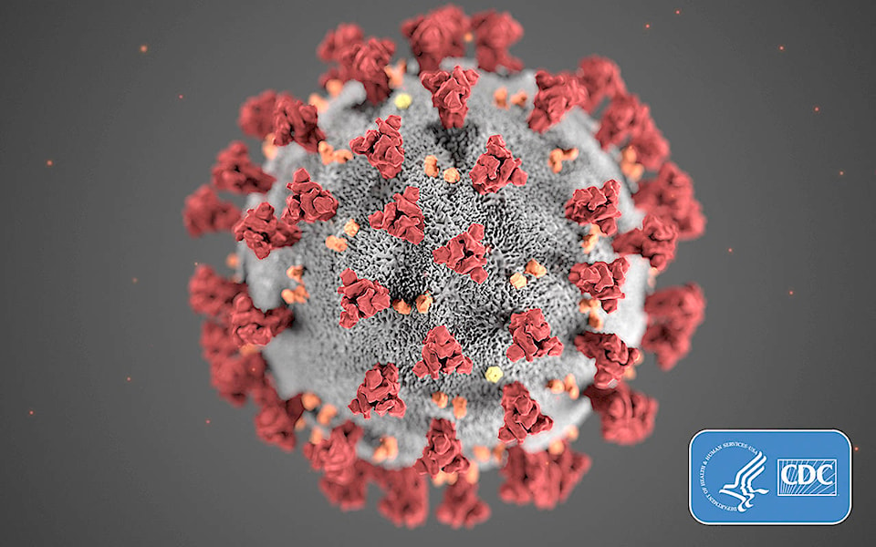 23814056_web1_coronavirus-CDC