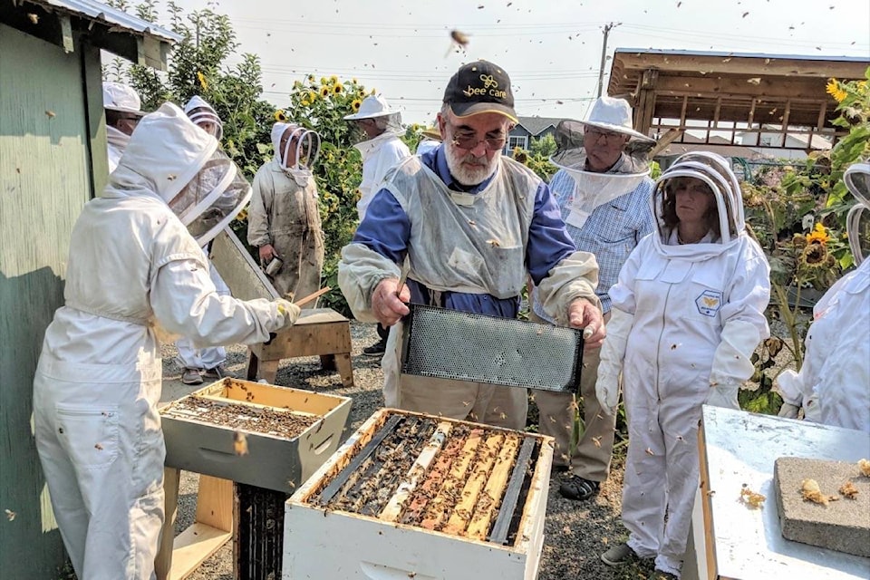 24458380_web1_210311-ACC-Beekeeping-course-Beekeeping_1