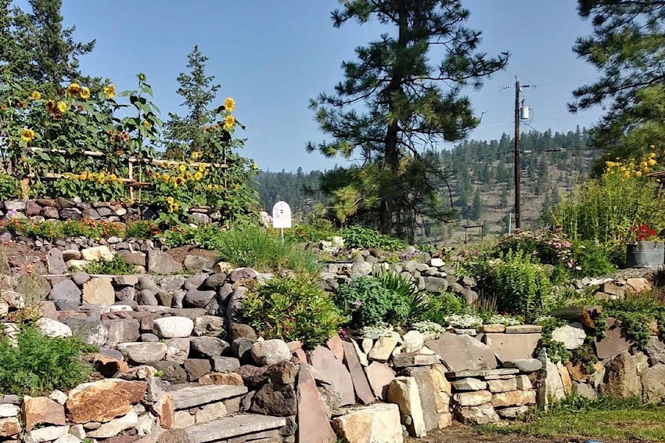 Garden of Candace and Scott Thomson. (Photo credit: Clinton CiB)