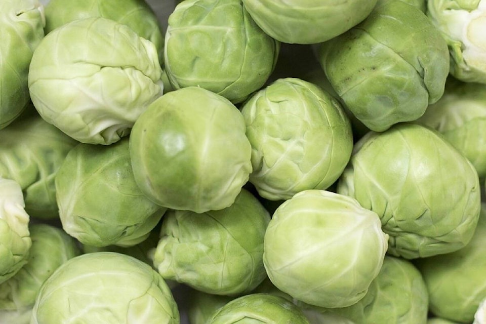 27477895_web1_211216-ACC-Editors-desk-BrusselsSprouts_1