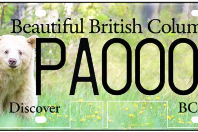 27993113_web1_220203-ACC-BC-Parks-licence-plates-LicencePlate_1