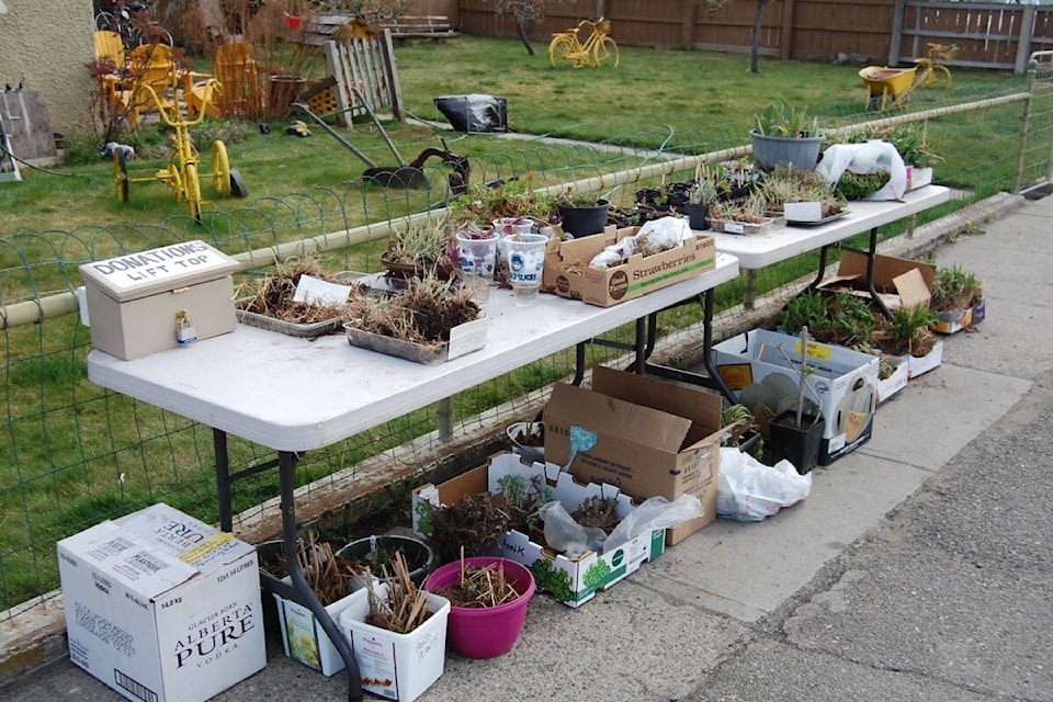 28760598_web1_210422-ACC-Local-news-briefs-Gardens_1
