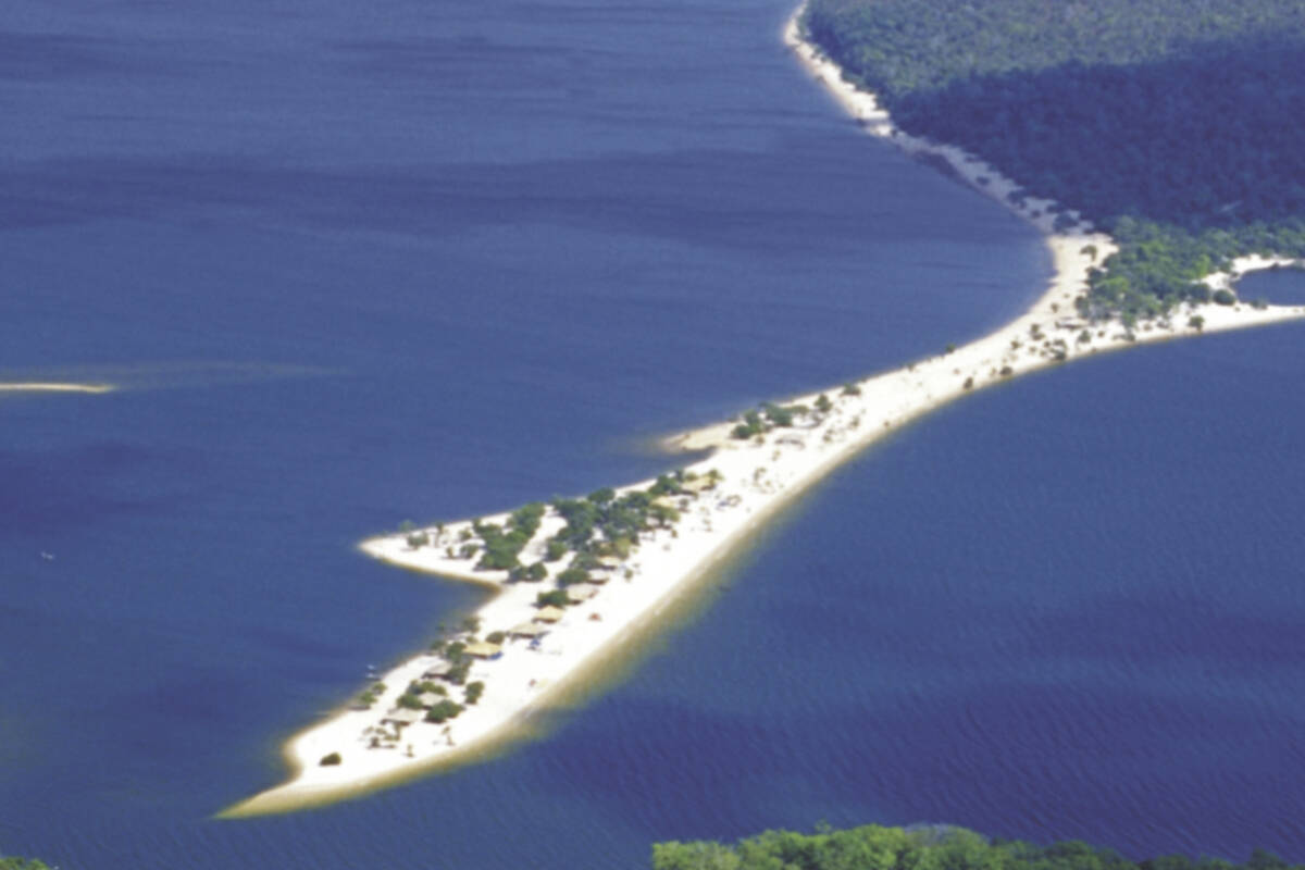 Ilha do Amor is a peninsula in the Amazon and a popular tourism destination. But the visitors have led to a loss of tree cover. Photo: Submitted