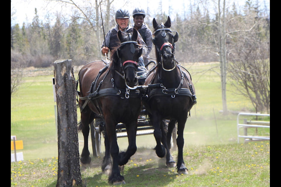 Peter Van Genne drives his team with the help of his navigator Corben Van Genne at the Huber Farm last Saturday. (Patrick Davies photo - 100 Mile Free Press)