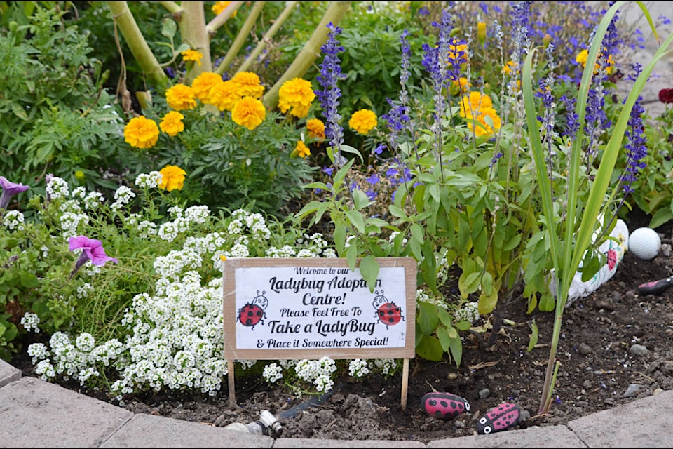 The Green Thumb team won the award for ‘Most Creative’ planter, in part for their whimsical use of painted stone ladybugs that passers-by were encouraged to take. (Photo credit: Barbara Roden)