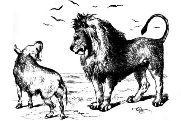 31720562_web1_230202-ACC-Wellness-column-Lion_2