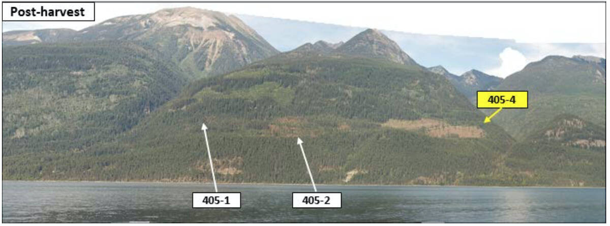 This photo was taken from the west side if Kootenay Lake after the Salisbury Creek timber harvest in 2022. The block that the Forest Practices Board was not supposed to be clearcut is the right half of block 405-4. Photo: Forest Practices Board
