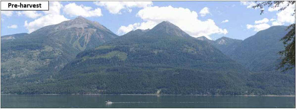 This photo was taken from the west side if Kootenay Lake before the Salisbury Creek timber harvest in 2022. Photo: Forest Practices Board