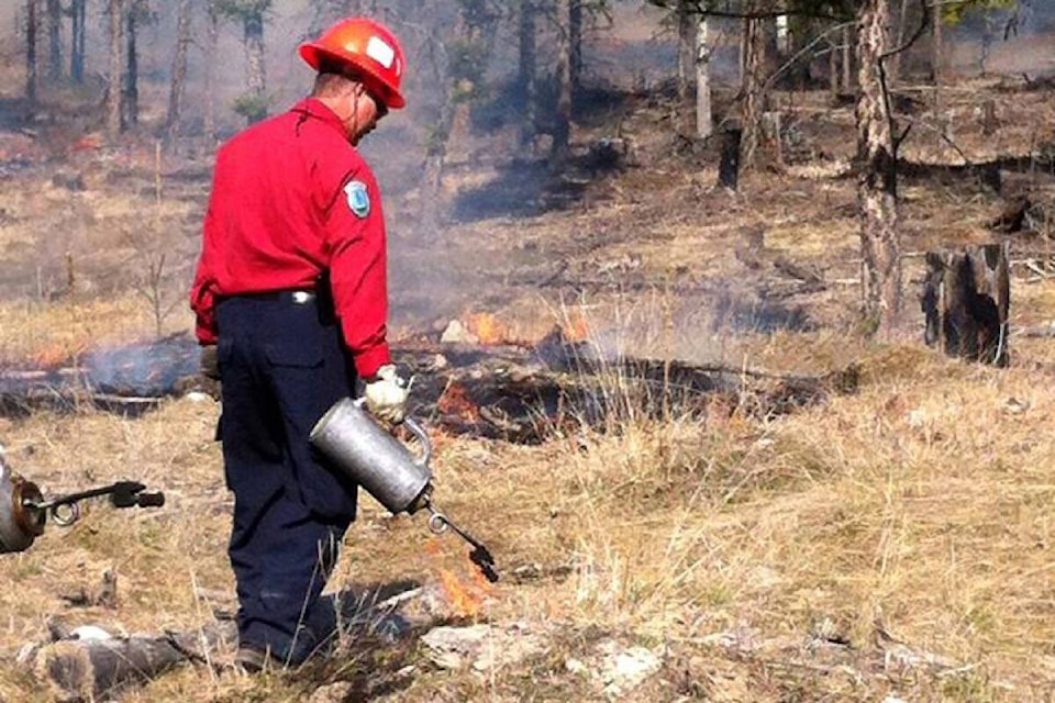 32114701_web1_210325-ACC-BC-wildfire-prescribed-burns-BCWildfire_2