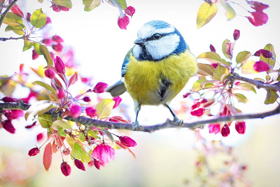 32252188_web1_230330-ACC-Wellness-column-Spring_1