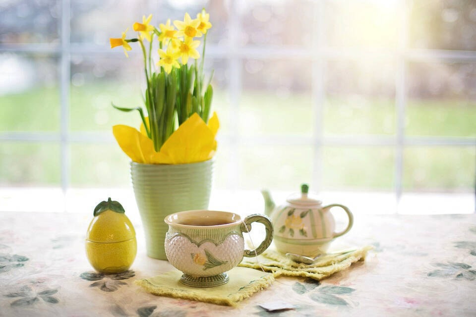 32306197_web1_220303-ACC-Clinton-seniors-Daffodils_1