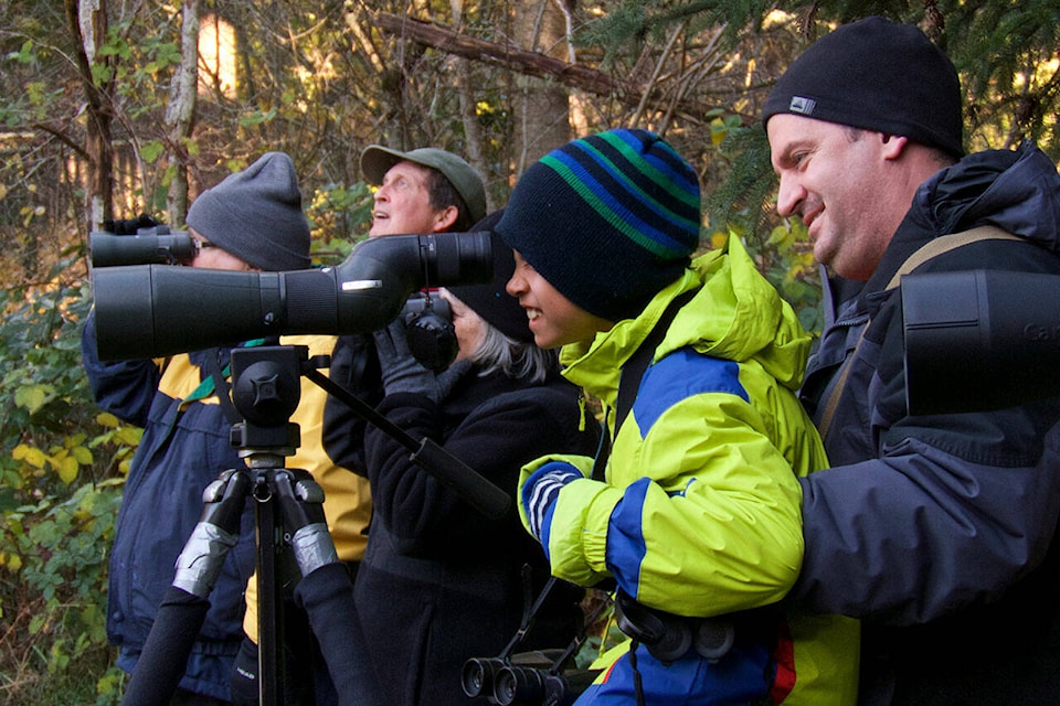 32339527_web1_Kitsap-Audubon