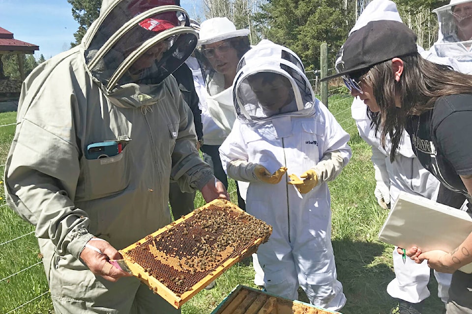 32989308_web1_230615-ACC-Beekeeping-notes-Beekeeping_1