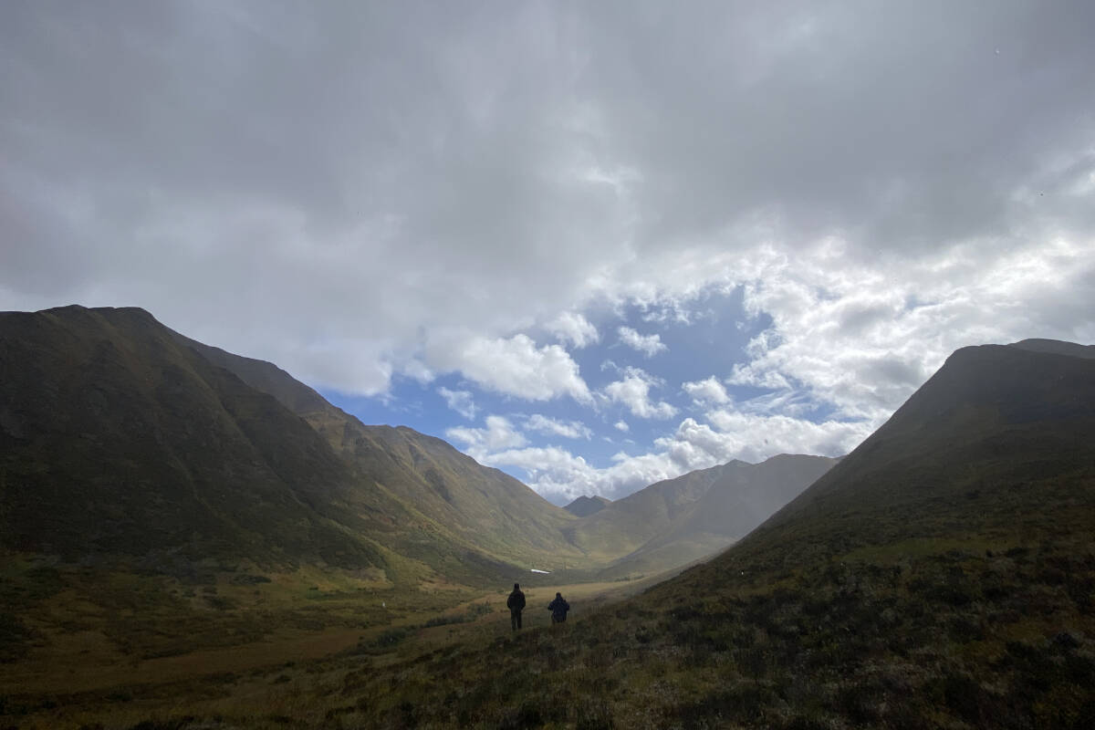 The second season of Yukon Harvest premiered in English and Northern Tutchone in early June 2023 on the Aboriginal Peoples Television Network (APTN). (Photo by Todd Forsbloom)