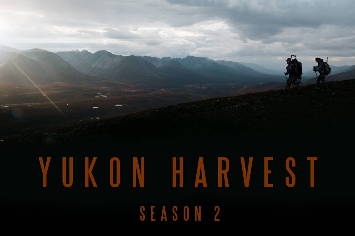 The second season of Yukon Harvest premiered in English and Northern Tutchone in early June 2023 on the Aboriginal Peoples Television Network (APTN). (Photo by Todd Forsbloom)