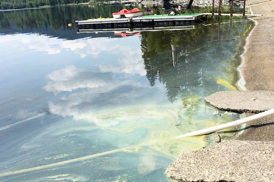 33457041_web1_230727-OMH-Algae-Blooms_1