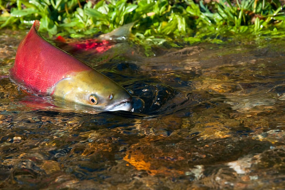 33518689_web1_220428-RTR-watershed-pic_1