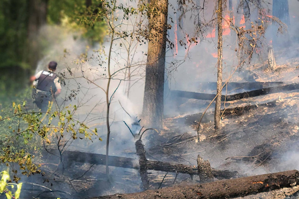 33650387_web1_230824-GOS-wildfire-out-GOLDEN_1