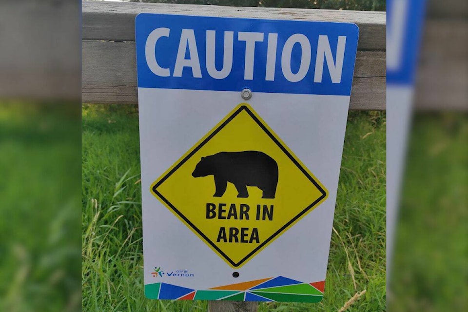 33786244_web1_230831-VMS-Bear-_1
