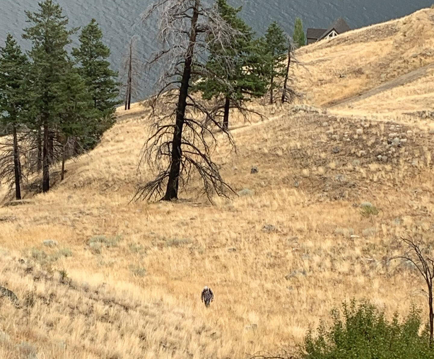 Day 1: Craig hiking an old goat trail to work. (Facebook)
