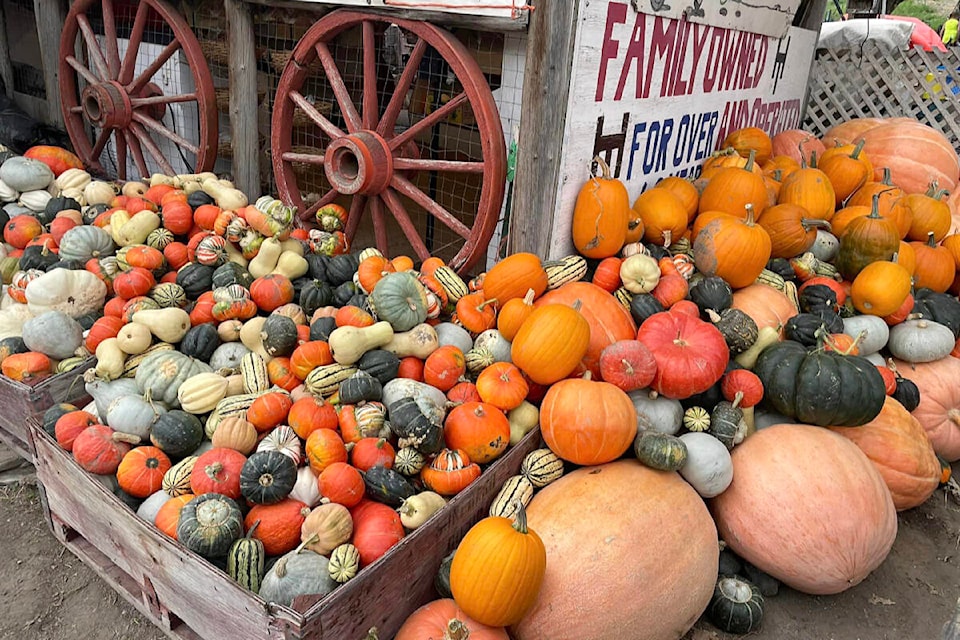 34056524_web1_231012-ACC-Wellness-column-FallHarvest_2